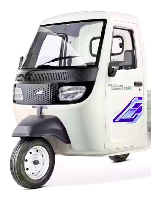 TVS King Kargo HD EV