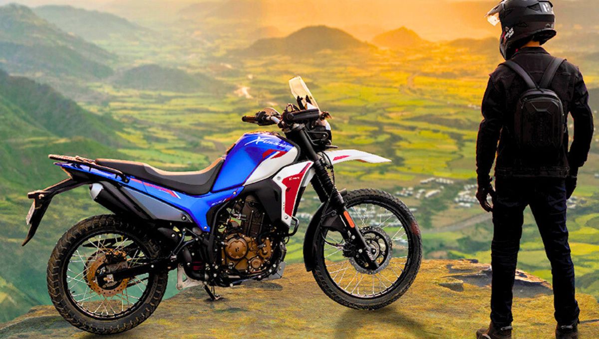 Hero Xpulse 210