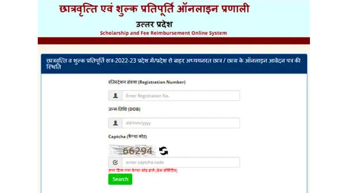 UP Scholarship