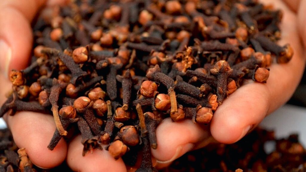 Clove Water For Hair: घर बैठे इस तरह से बनाएं Clove Water और पाएं लंबे, घने बाल? 1 Clove Water For Hair
