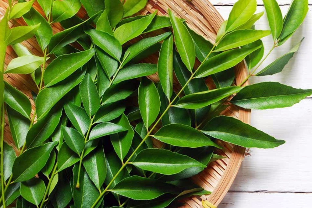 Curry Leaves for Hairs