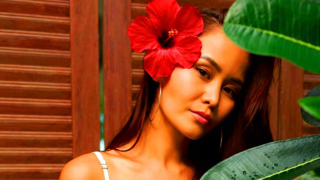 Hibiscus for hair