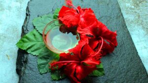 Hibiscus for hair