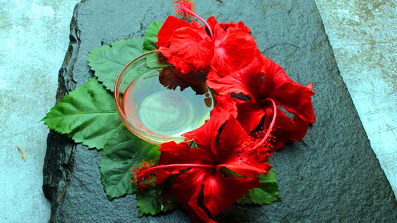 Hibiscus for hair