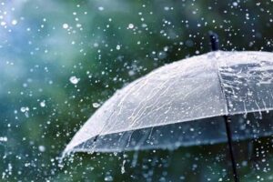 Weather Report Today