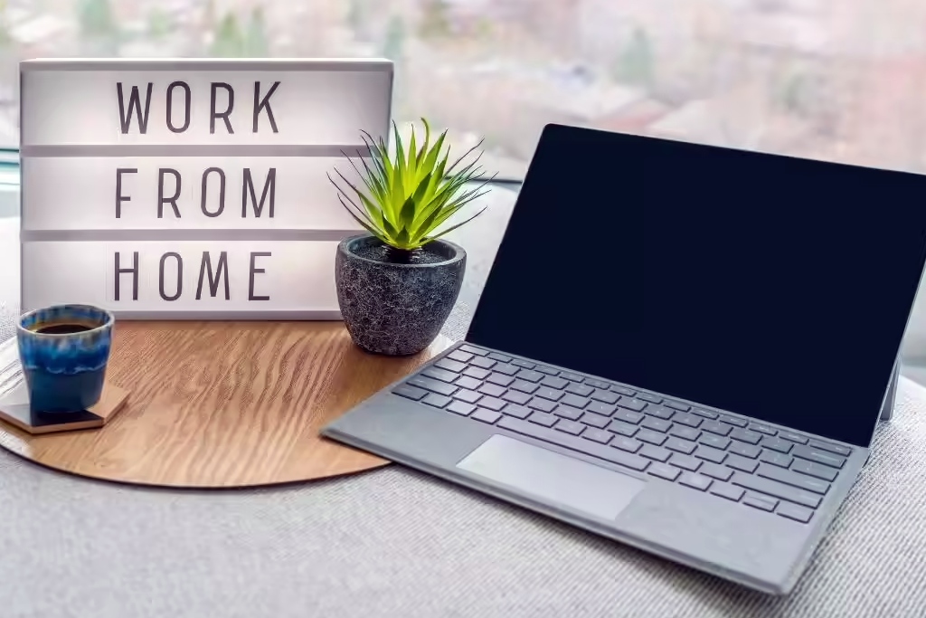 बक्से भर के पैसे देने वाली घर पर रहकर काम करने वाली ये 5 नौकरियां ? 2 Work from Home