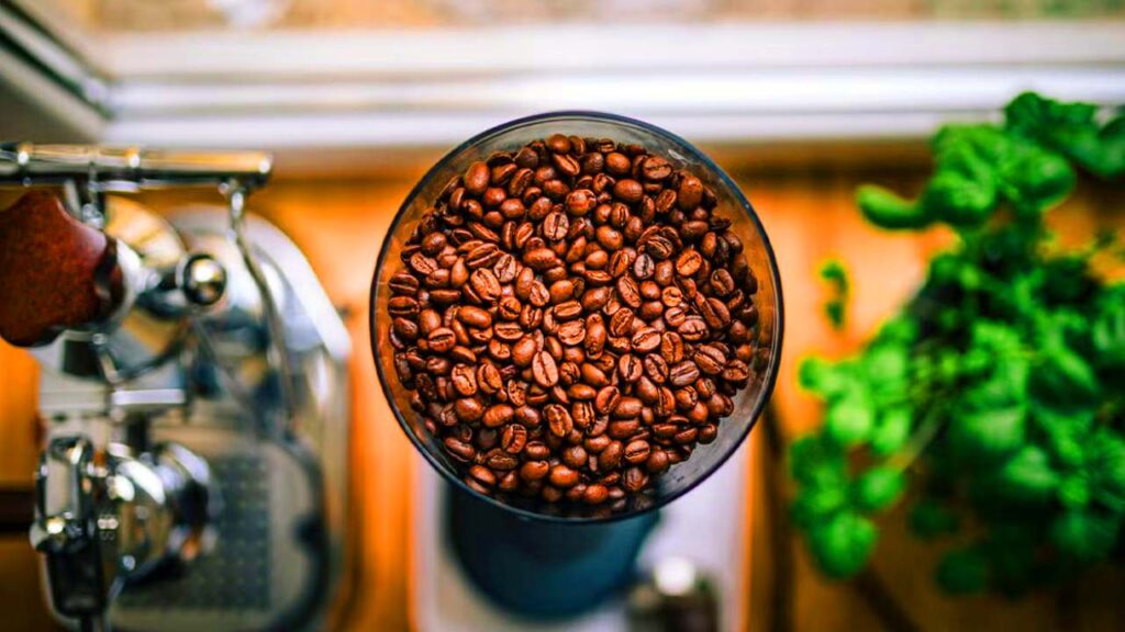 Coffee For Hair 2026