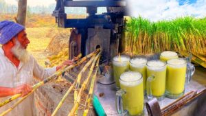 sugarcane juice