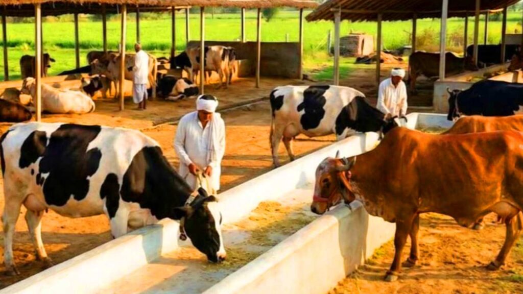 Mini Nandini Yojana 2026: मिनी नंदिनी योजना क्या है? पात्रता, लाभ और आवेदन प्रक्रिया 2 Mini Nandini Yojana 2026