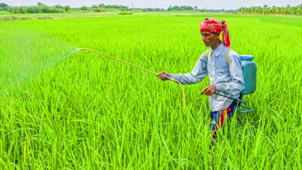 PM Fasal Bima Yojana 2026: फसल बीमा योजना में आवेदन कैसे करें? 1 PM Fasal Bima Yojana 2026